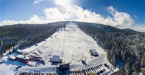 mehliskopf live|Webcams in Mehliskopf